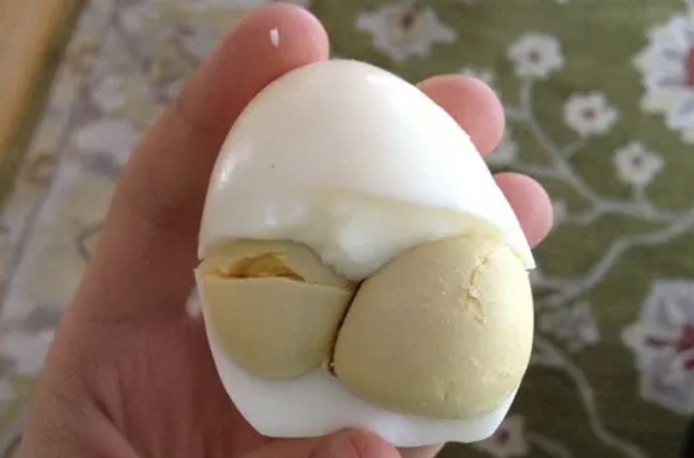 Lecytyna z żółtka